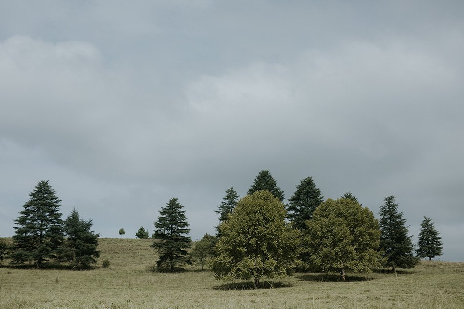 Rustic Barn Wedding Corrie Lynn Farm- Wedding Photographers Cape Town - Duane Smith Photography - Jemma & Nico-2