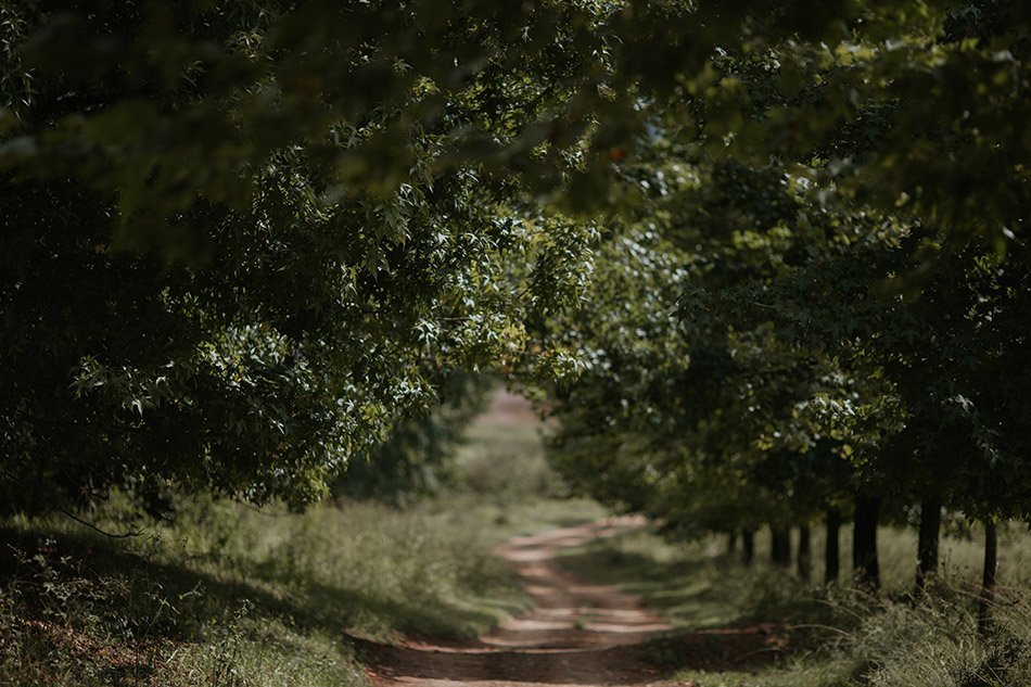 Rustic Barn Wedding Corrie Lynn Farm- Wedding Photographers Cape Town - Duane Smith Photography - Jemma & Nico-2