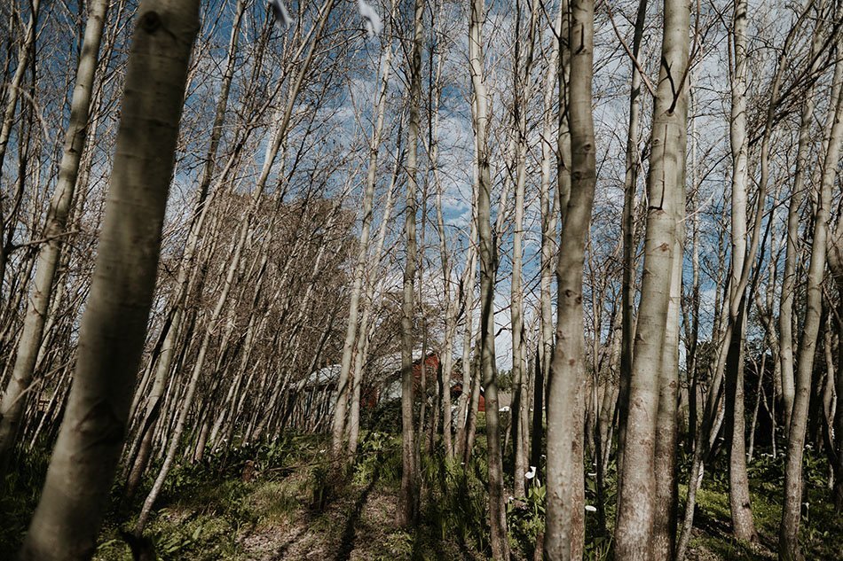 Floreal Brasserie Marianne Wedding - Winefarm Wedding - Wedding Photographers - Cape Town - Duane Smith - Somerset West - Jaco & Chanel-59