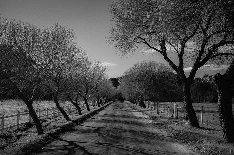 Floreal Brasserie Marianne Wedding - Winefarm Wedding - Wedding Photographers - Cape Town - Duane Smith - Somerset West - Jaco & Chanel-91