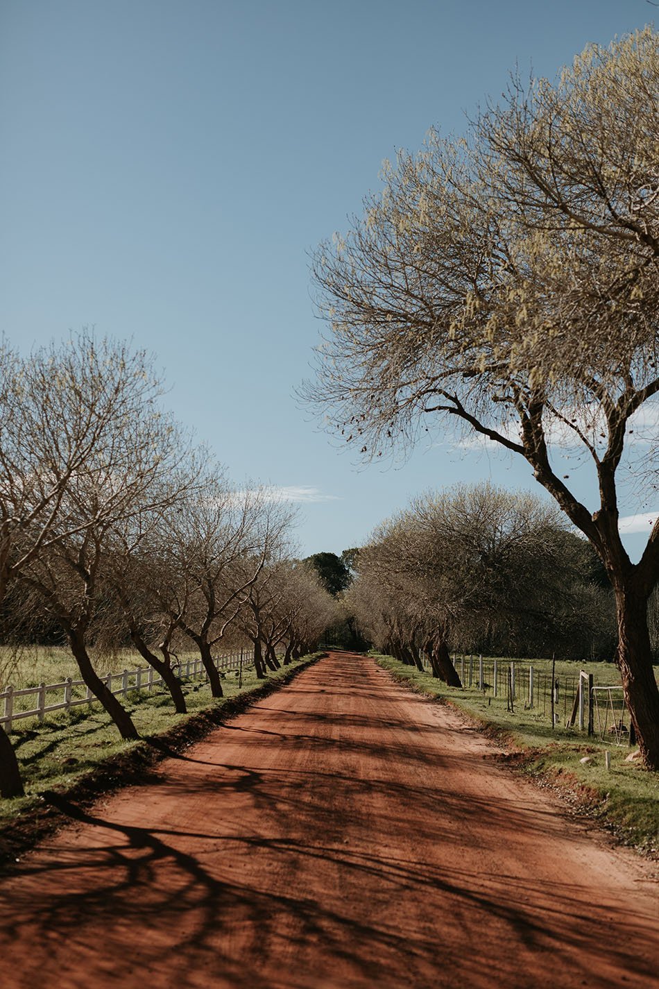 Floreal Brasserie Marianne Wedding - Winefarm Wedding - Wedding Photographers - Cape Town - Duane Smith - Somerset West - Jaco & Chanel-92