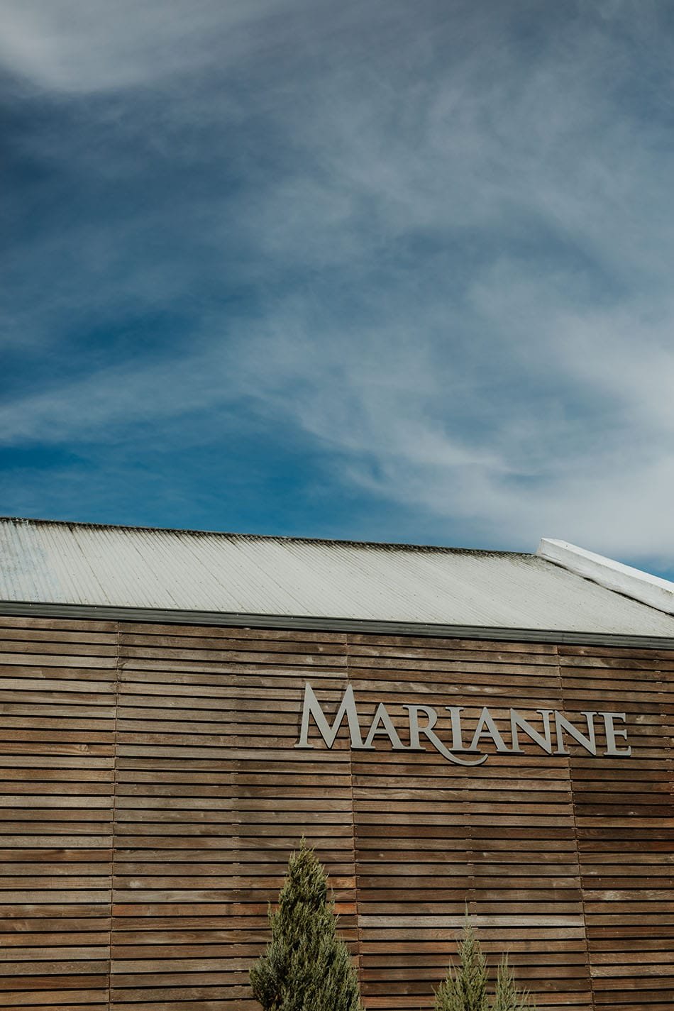 Floreal Brasserie at Marianne Wedding - Winefarm Wedding - Wedding Photographers - Cape Town - Duane Smith - Somerset West - Jaco & Chanel-20